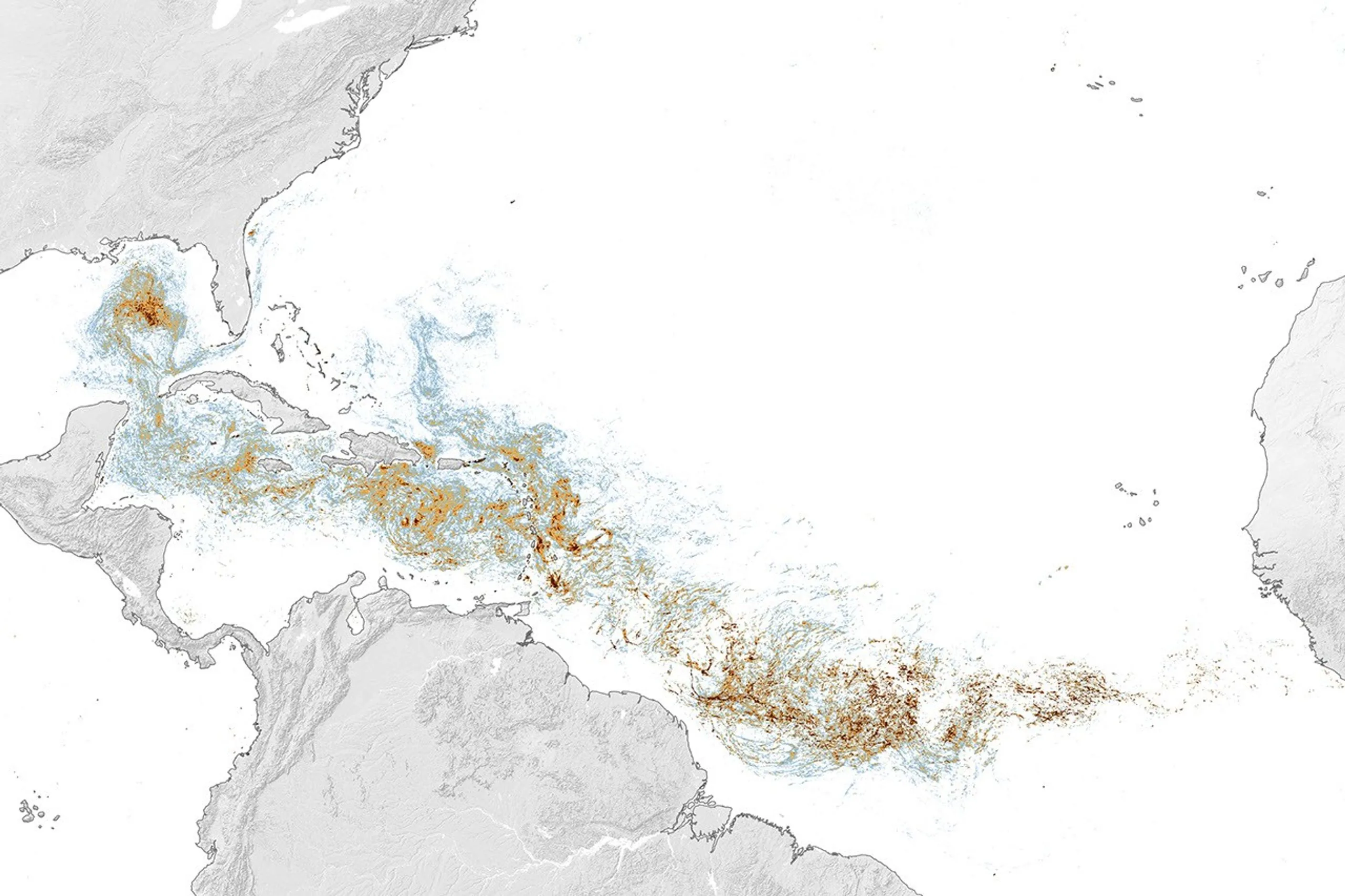 Mapa satelital del Atlántico mostrando la densidad del Gran Cinturón de Sargazo entre África occidental y el Golfo de México en junio de 2026.